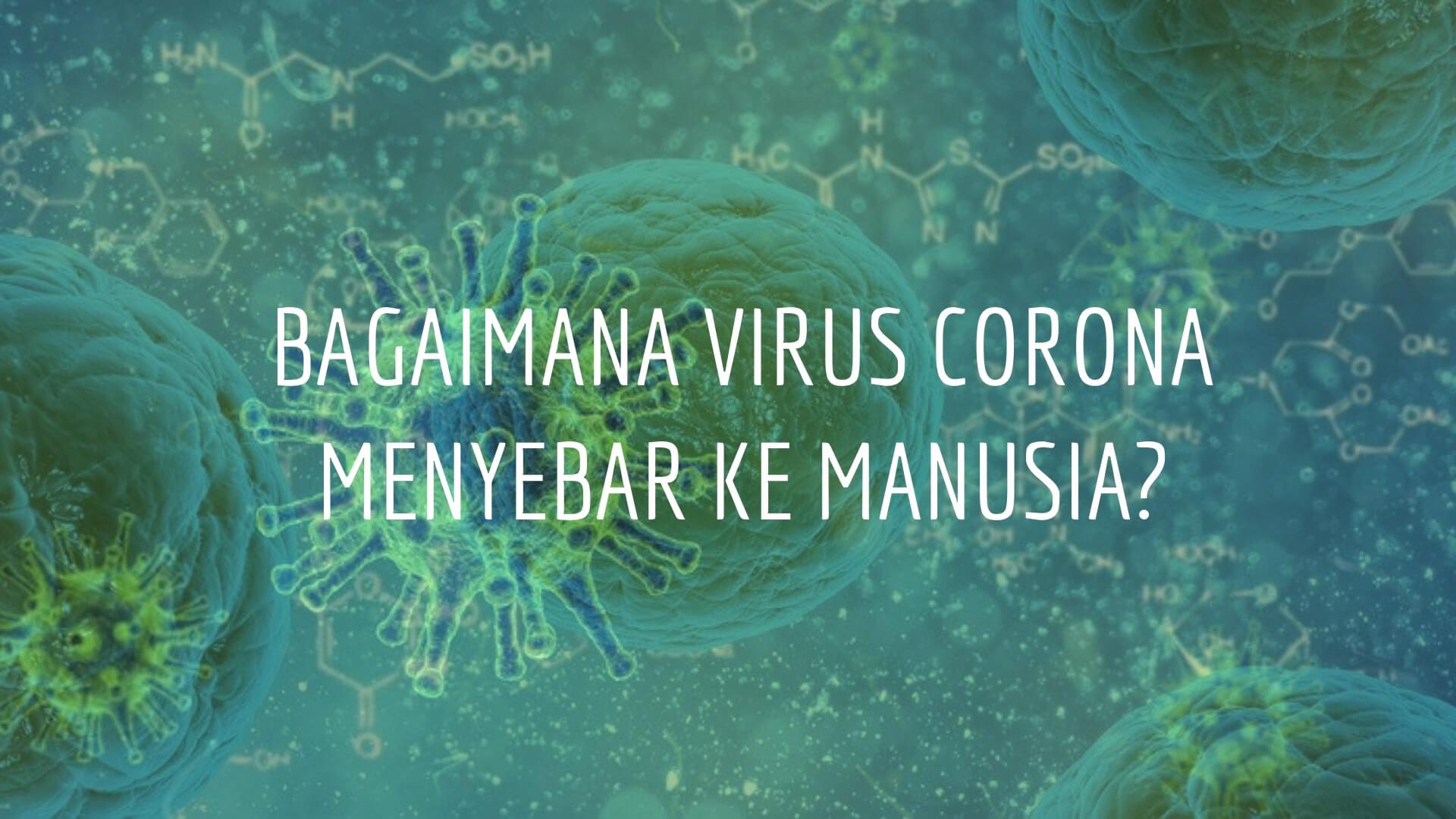 Memahami Pemetaan Penyebaran Virus Corona Antar Manusia